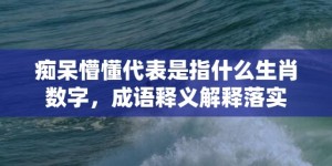 痴呆懵懂代表是指什么生肖数字，成语释义解释落实