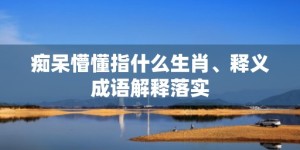 痴呆懵懂指什么生肖、释义成语解释落实