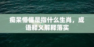 痴呆懵懂是指什么生肖，成语释义解释落实