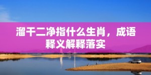 溜干二净指什么生肖，成语释义解释落实