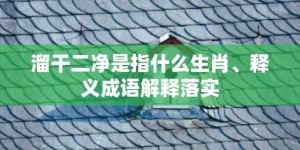 溜干二净是指什么生肖、释义成语解释落实