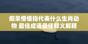 痴呆懵懂指代表什么生肖动物 最佳成语最佳释义解释答