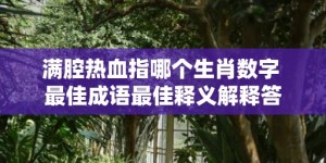 满腔热血指哪个生肖数字 最佳成语最佳释义解释答