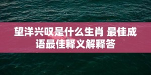 望洋兴叹是什么生肖 最佳成语最佳释义解释答