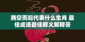 腾空而起代表什么生肖 最佳成语最佳释义解释答