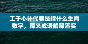 工于心计代表是指什么生肖数字，释义成语解释落实