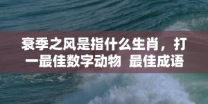 衰季之风是指什么生肖，打一最佳数字动物  最佳成语最佳释义解释答