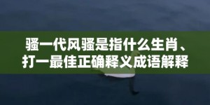 骚一代风骚是指什么生肖、打一最佳正确释义成语解释落实