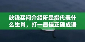 欲钱买问介绍所是指代表什么生肖，打一最佳正确成语释义解释落实