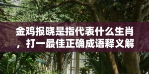 金鸡报晓是指代表什么生肖，打一最佳正确成语释义解释落实