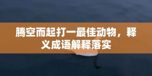 腾空而起打一最佳动物，释义成语解释落实