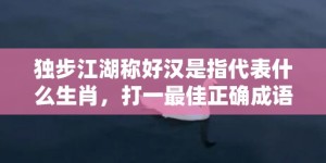 独步江湖称好汉是指代表什么生肖，打一最佳正确成语释义解释落实