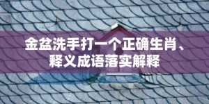 金盆洗手打一个正确生肖、释义成语落实解释