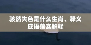 骇然失色是什么生肖、释义成语落实解释