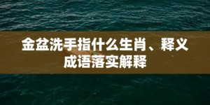 金盆洗手指什么生肖、释义成语落实解释