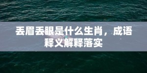 丢眉丢眼是什么生肖，成语释义解释落实