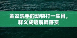 金盆洗手的动物打一生肖，释义成语解释落实