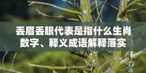 丢眉丢眼代表是指什么生肖数字、释义成语解释落实