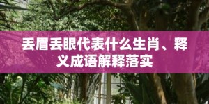 丢眉丢眼代表什么生肖、释义成语解释落实