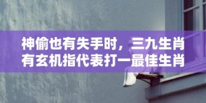 神偷也有失手时，三九生肖有玄机指代表打一最佳生肖、释义成语解释落实