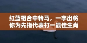 红蓝相合中特马，一字出将你为先指代表打一最佳生肖、释义成语解释落实