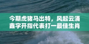 今期虎猪马出特，风起云涌鑫字开指代表打一最佳生肖、释义成语解释落实