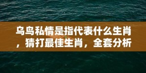 乌鸟私情是指代表什么生肖，猜打最佳生肖，全套分析成语落实