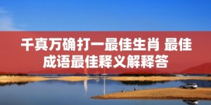 千真万确打一最佳生肖 最佳成语最佳释义解释答