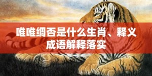 唯唯绸否是什么生肖、释义成语解释落实