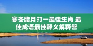 寒冬腊月打一最佳生肖 最佳成语最佳释义解释答