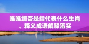 唯唯绸否是指代表什么生肖、释义成语解释落实