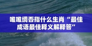 唯唯绸否指什么生肖“最佳成语最佳释义解释答”