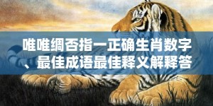 唯唯绸否指一正确生肖数字、最佳成语最佳释义解释答