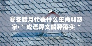 寒冬腊月代表什么生肖和数字·”成语释义解释落实“