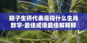 脑子生锈代表是指什么生肖数字·最佳成语最佳解释释义答