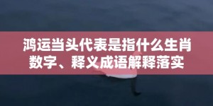 鸿运当头代表是指什么生肖数字、释义成语解释落实