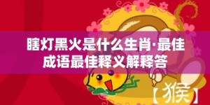 瞎灯黑火是什么生肖·最佳成语最佳释义解释答