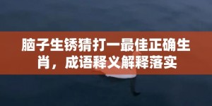 脑子生锈猜打一最佳正确生肖，成语释义解释落实