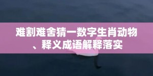 难割难舍猜一数字生肖动物、释义成语解释落实