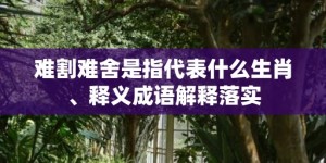 难割难舍是指代表什么生肖、释义成语解释落实