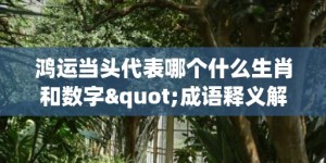 鸿运当头代表哪个什么生肖和数字"成语释义解释落实"