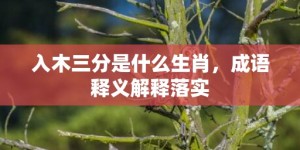 入木三分是什么生肖，成语释义解释落实