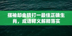 摆袖却金猜打一最佳正确生肖，成语释义解释落实