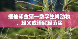 摆袖却金猜一数字生肖动物、释义成语解释落实