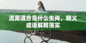 流离遇合是什么生肖，释义成语解释落实