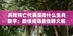 兵败将亡代表是指什么生肖数字；最佳成语最佳释义解释答