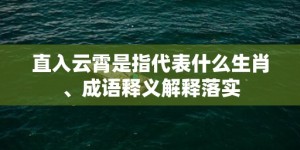 直入云霄是指代表什么生肖、成语释义解释落实