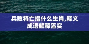 兵败将亡指什么生肖,释义成语解释落实