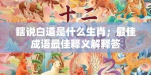 瞎说白道是什么生肖；最佳成语最佳释义解释答