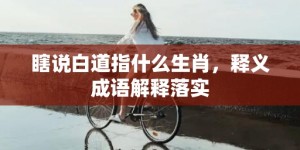 瞎说白道指什么生肖，释义成语解释落实